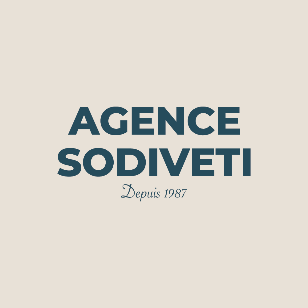 Catalogue commercial print pour distributeur bâtiment, logo, projet Agence Sodiveti