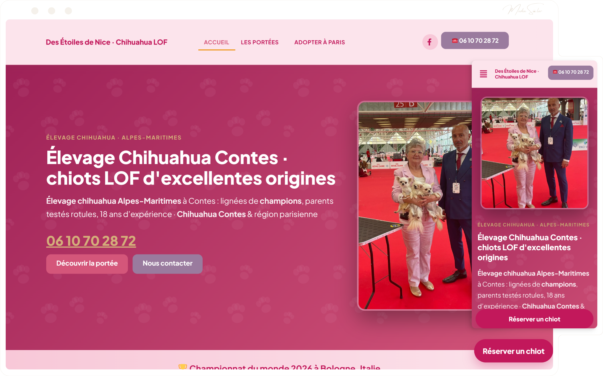 Site vitrine pour élevage canin LOF, mockup desktop et mobile, projet Des Étoiles de Nice